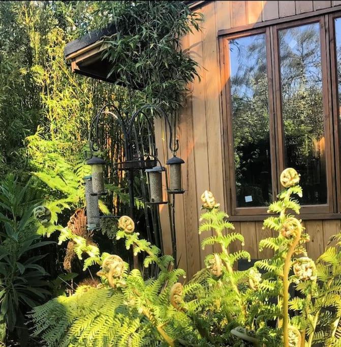 Jungle Cabin Martin Mill ภายนอก รูปภาพ
