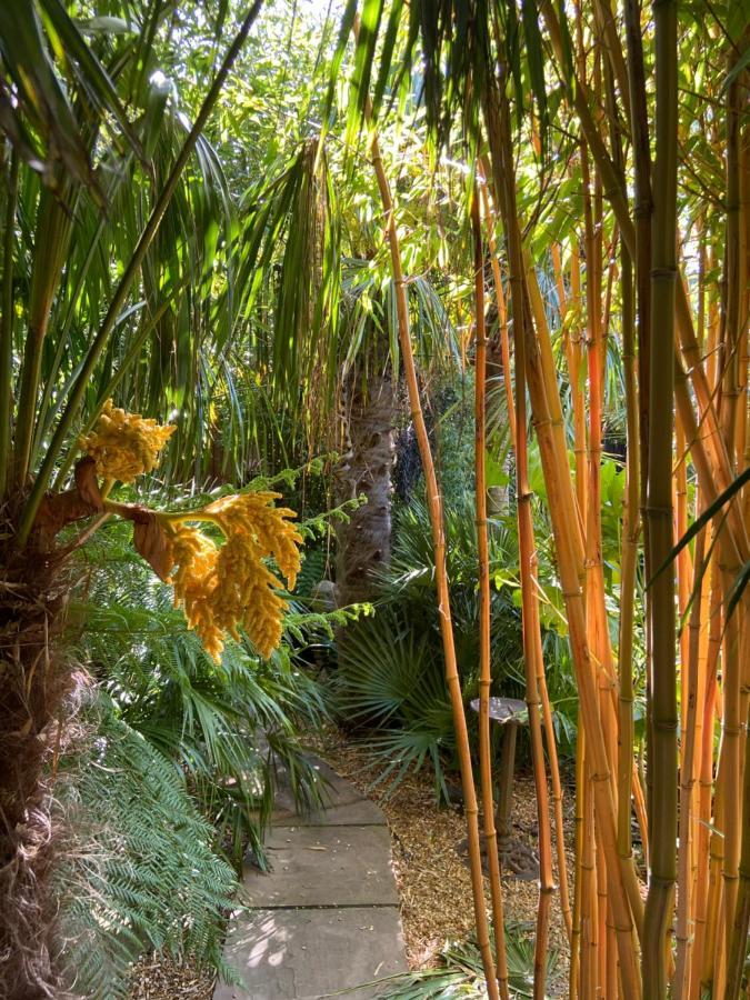 Jungle Cabin Martin Mill ภายนอก รูปภาพ