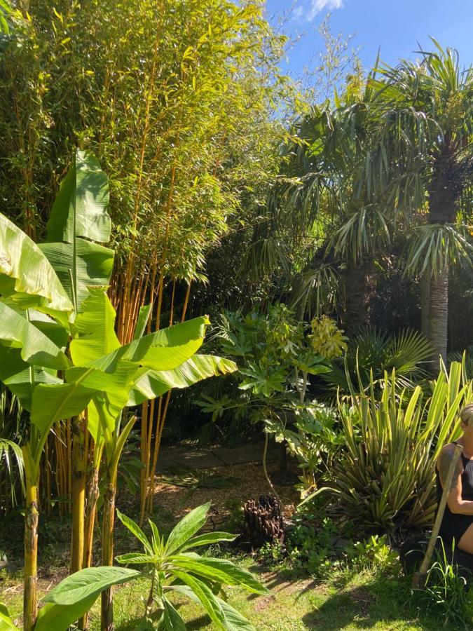 Jungle Cabin Martin Mill ภายนอก รูปภาพ