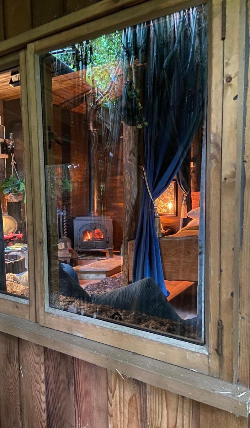 Jungle Cabin Martin Mill ภายนอก รูปภาพ